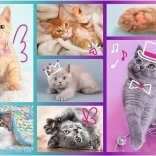 TREFL 60-piece Puzzle – Cute Kittens