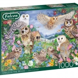 FALCON puzzle: baglyok az erdőben, 1000 darab