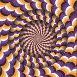 Optical Illusion Puzzle 1023 Pieces MAGNOLIA