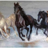 NORIMPEX Diamond Painting – Herd of Horses 80 × 40 cm