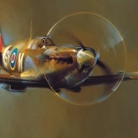 EUROGRAPHICS panoramic puzzle Spitfire – 1000 pieces