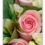 Notique Wall Calendar Flowers 2026