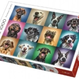 Funny Dog Portraits Puzzle – 1000 Pieces