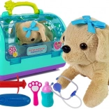 Veterinary set with dog and carrier
