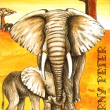 Black Peter - Children's Cards Safari