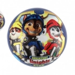 Ballon Paw Patrol 23 cm bleu en filet