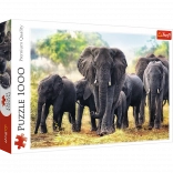 Puzzle 1000 pieces – African Elephants TREFL