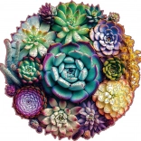 EscapeWelt Wooden Puzzle Succulents 200 Pieces