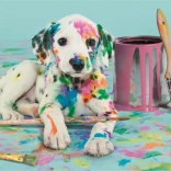 Funny Dalmatian 500 Piece Puzzle