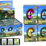 növekvő aligátor krokodiltojás 6 cm