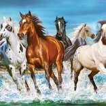 Call of Nature 2000-Piece Puzzle