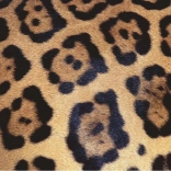 Ravensburger Puzzle Challenge: Animal Pattern 1000 Pieces