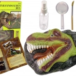 Set educativo scavi DINOSAURUS TYRANOSAURUS