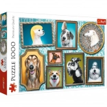 Puzzle 1000 Pieces – Cheerful Dogs, Dog Gallery
