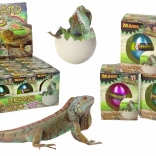 Varázslatos kikelő tojás – növekvő gyík 6 cm