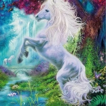Unicorn Puzzle in Enchanted Garden 60 Pieces