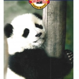 KOH-I-NOOR Colored Pencils Set, 12 Colors