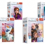 Minipuzzel Frozen II 20 Maxi stukjes, 4 motieven – Anna