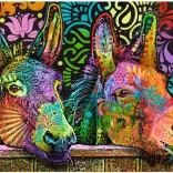 Puzzle 1000 db – Szerelmes szamarak (Jelly Pets) – Heye