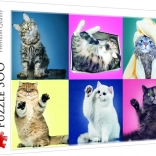 Puzzle 500 Pieces Kittens Trefl
