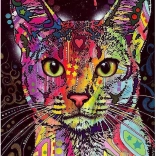 2000 Piece Puzzle Abyssinian Cat