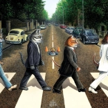 Puzzle Tabby Road 1000 pieces