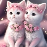 Diamantschilderen Roze kittens 30x40cm