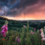 Puzzle 1000 pieces Storm Approaches RAVENSBURGER