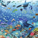 Ravensburger puzzle colorful underwater world 3000 pieces