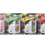 Plastic skateboard with accessories