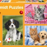 Puzzle My Favorite Animals 3x48 Pieces