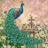 Peacock Puzzle 260 Pieces
