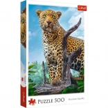 Puzzle 500 pieces - Wild Leopard