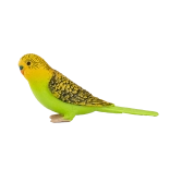 Mojo budgerigar figurine