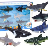 Vehicle Figures Sea Animals Friction Drive Frigate Shark Orca 6 pcs