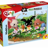 Bing puzzle 24 pieces – discovering nature