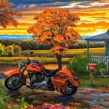 Castorland puzzle Autumn Ride 500 pieces