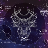Zodiac Puzzle Taurus 250 Pieces