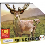 100-piece puzzle with a deer in the forest