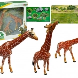 Educatieve giraffenfiguren Familie 3 stuks + Achtergrond Afrika