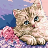 gyémántszámfestés macskaszemek 30 × 40 cm – NORIMPEX