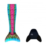 Single fin in the shape of Bali's tail