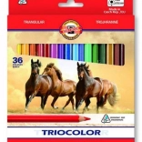 Crayons de couleur triangulaires KOH-I-NOOR TRIOCOLOR, 36 pcs
