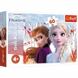 Puzzle 60 pieces Enchanted World of Anna and Elsa