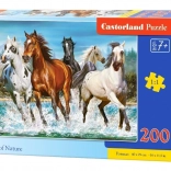 Puzzle 200 pieces Call of Nature