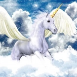 Pegasus in the Sky Puzzle 1000 Pieces MAGNOLIA