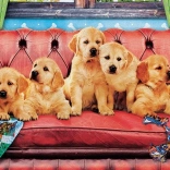 Panoramic Puzzle Labradors on a Dog Sofa 1000 Pieces