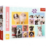 160-piece Puzzle Dog Friendship