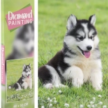 Peinture diamant Husky 40 × 50 cm