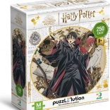 Puzzle DODO Harry Potter: Young Wizard 250 pieces